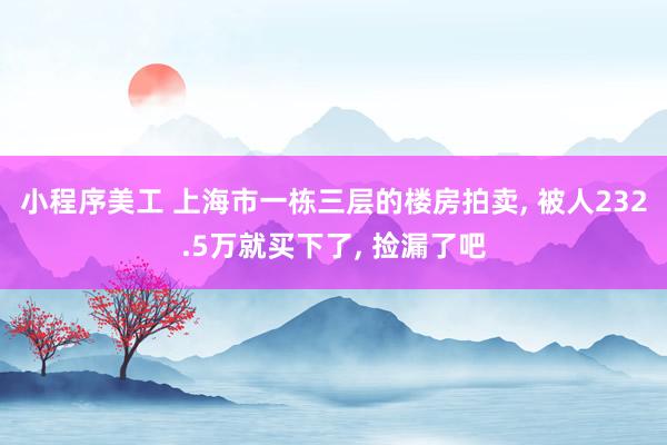 小程序美工 上海市一栋三层的楼房拍卖, 被人232.5万就买下了, 捡漏了吧